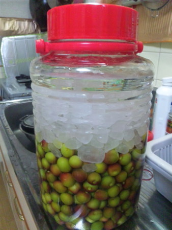 f:id:ylean:20100519222100j:image
